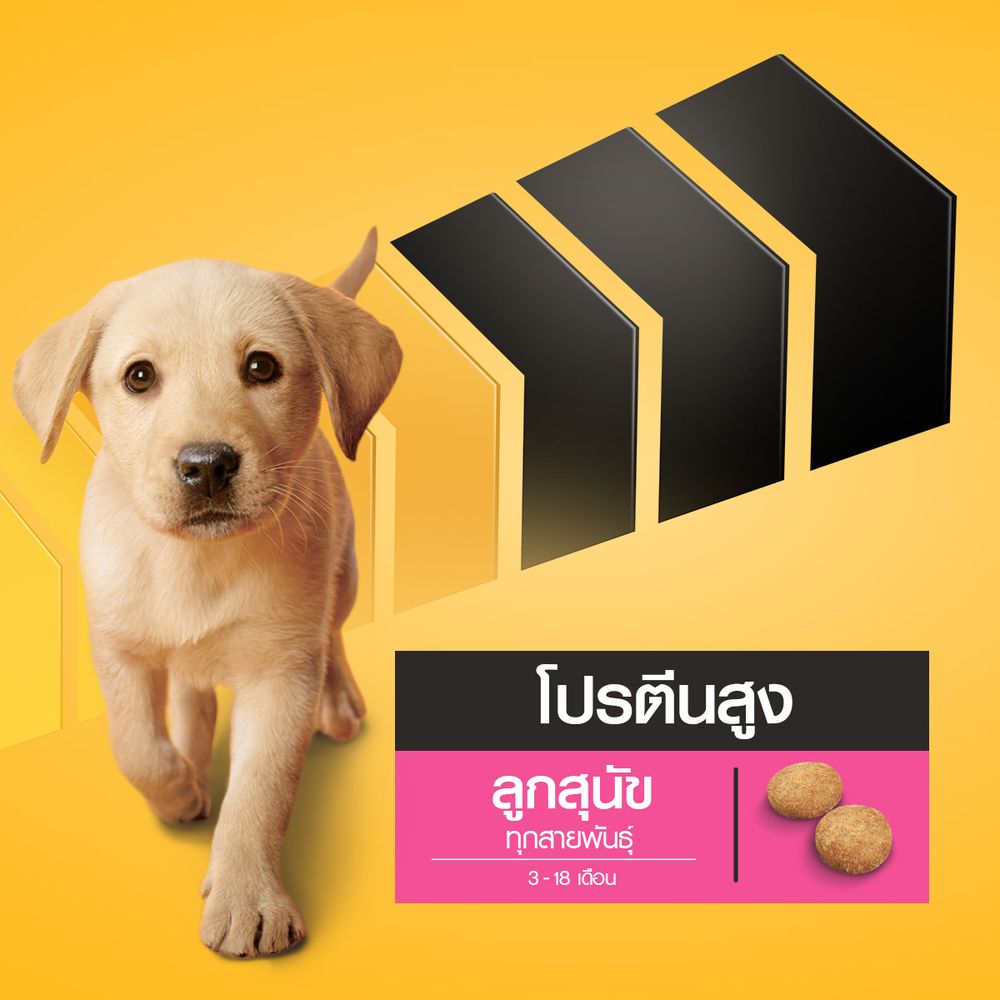 เพดดิกรี โปร ลูกสุนัขทุกสายพันธุ์ 2.7กก