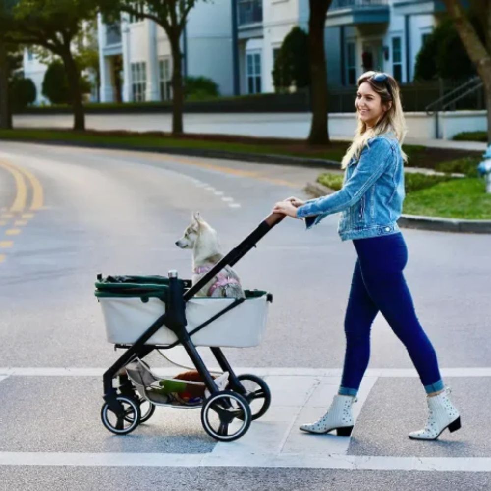 อิบิญาญ่า รถเข็นสัตว์เลี้ยง รุ่น FS2102-BK