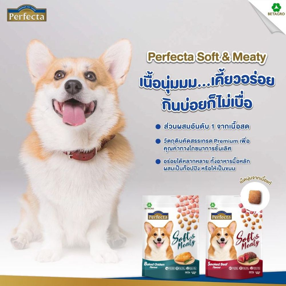 เพอร์เฟคต้าซอฟท์มีตตี้สุนัขโต ไก่อบ0.5กก