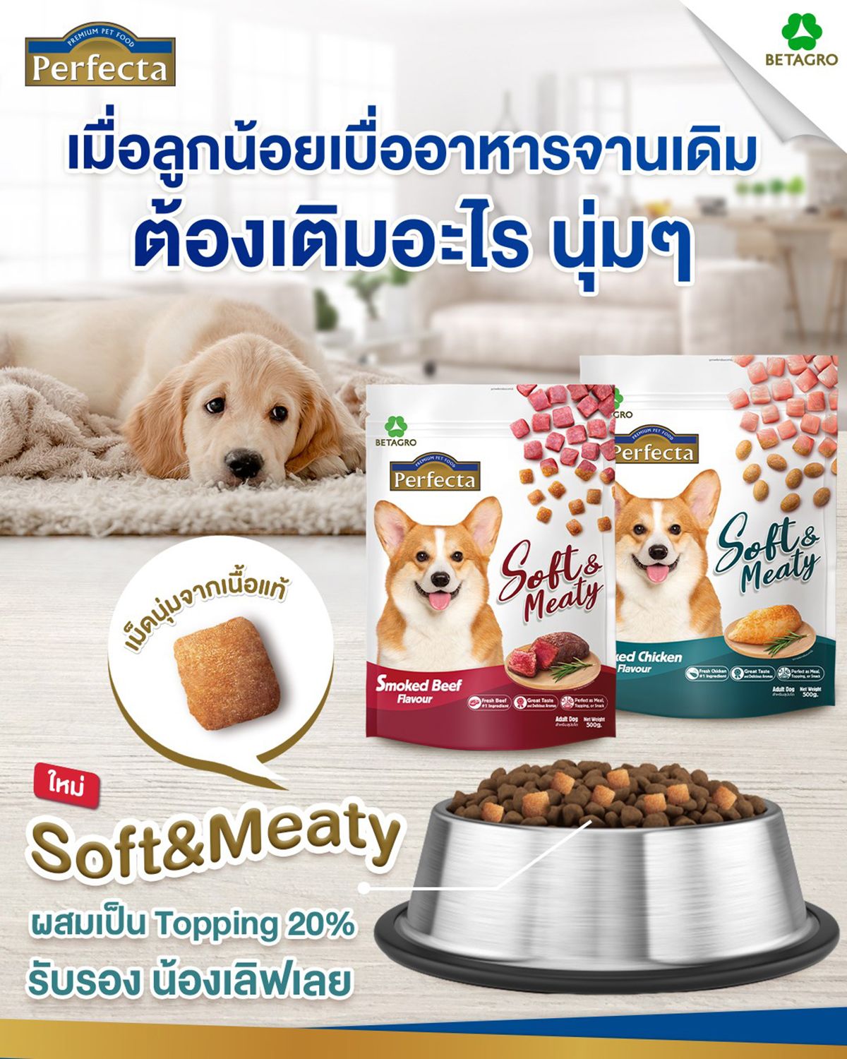 เพอร์เฟคต้าซอฟท์มีตตี้สุนัขโต ไก่อบ0.5กก