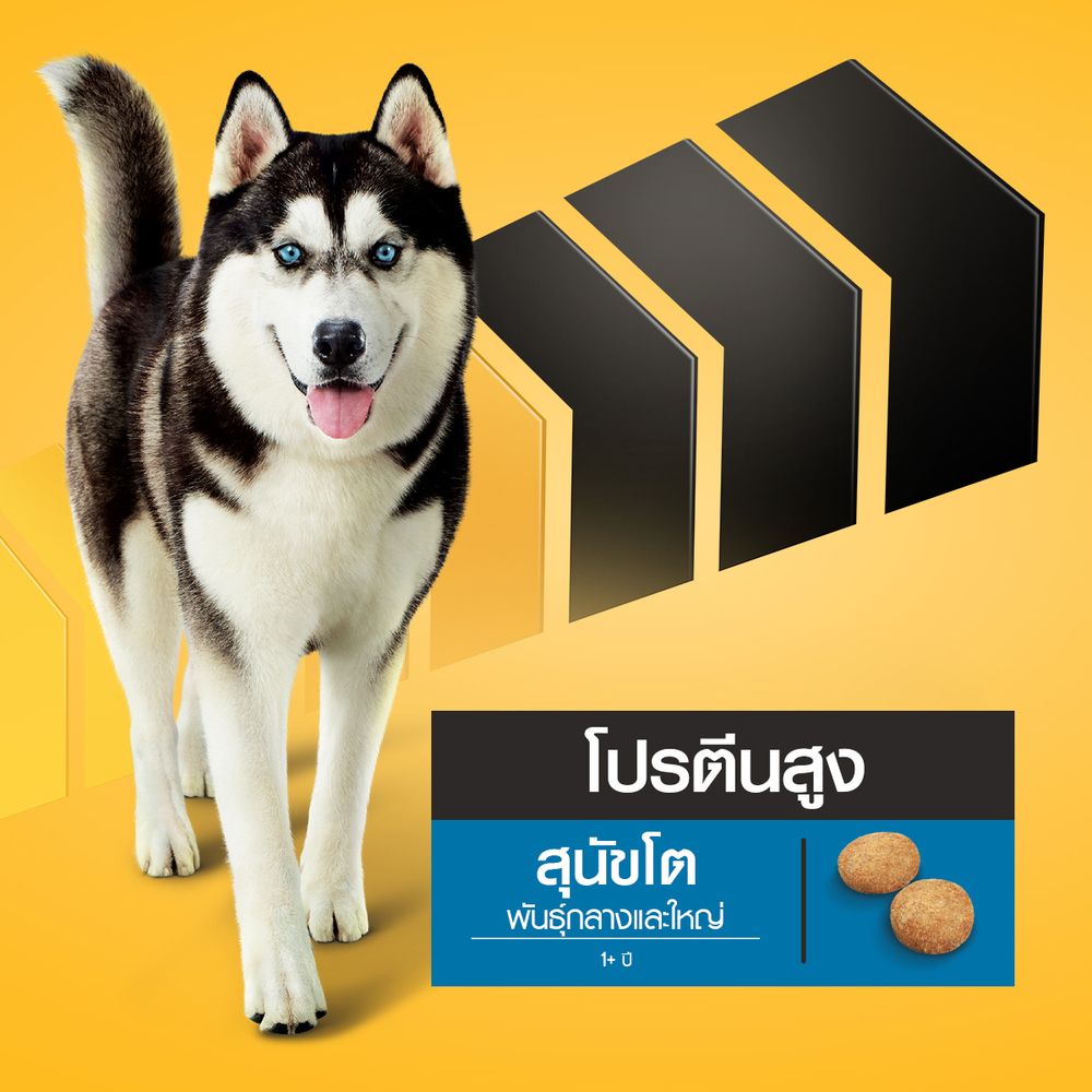 เพดดิกรีโปรสุนัขโตพันธุ์กลางและใหญ่1.5กก