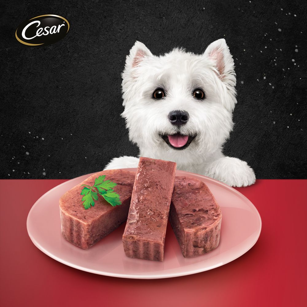 CESAR DOG FOOD BEEF + LIVER 100G.