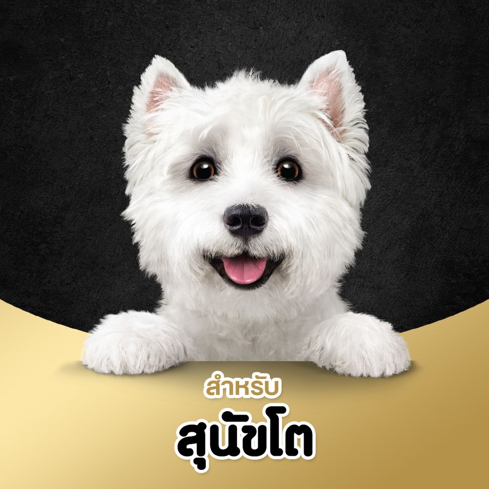 CESAR DOG FOOD BEEF + LIVER 100G.