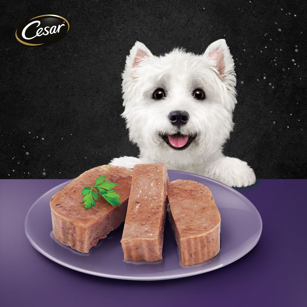 ซีซาร์อาหารสุนัขพรีเมียม เนื้อแกะ100ก