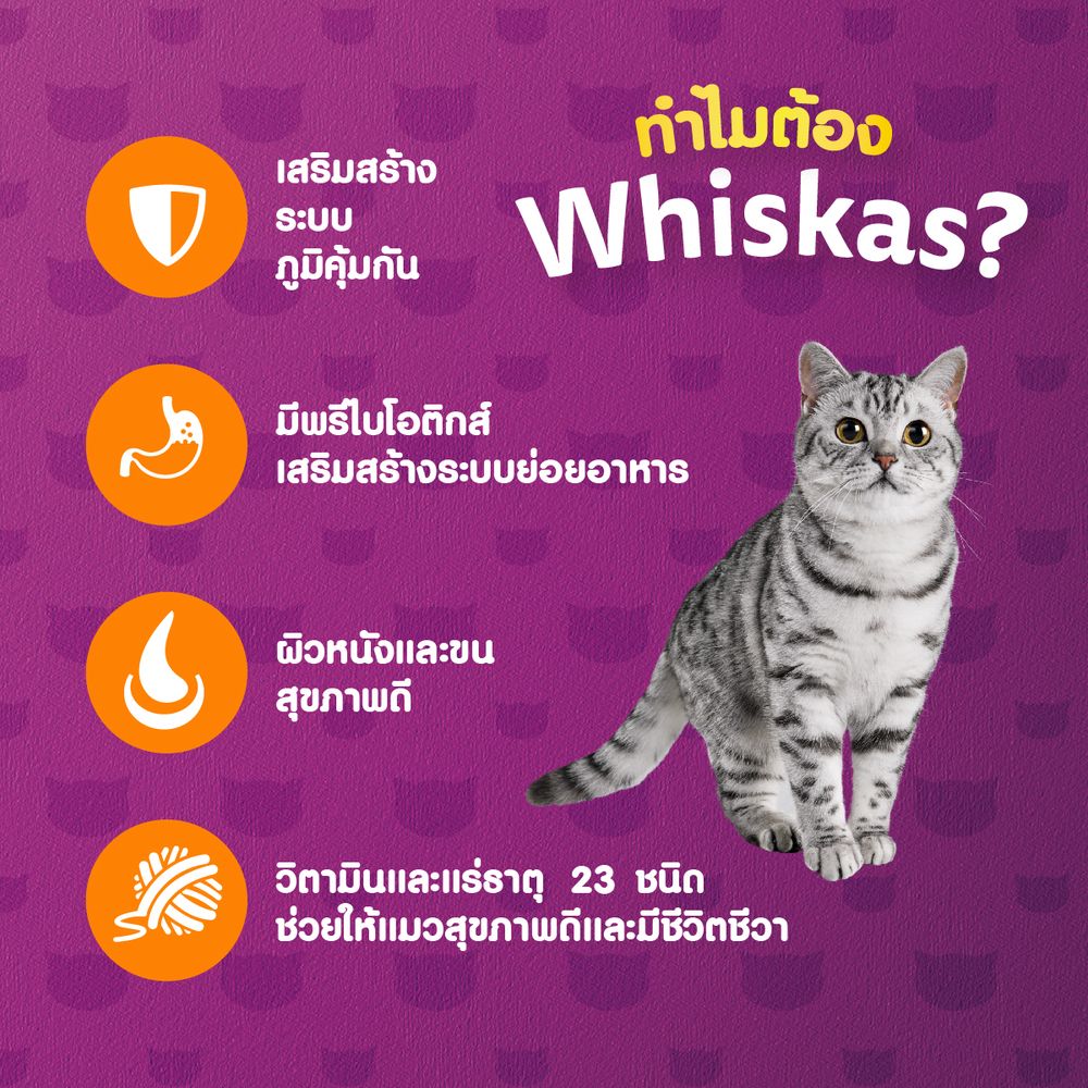 วิสกัสพ็อกเกตเม็ดสเต๊กปลาแซลมอน1.2กก.