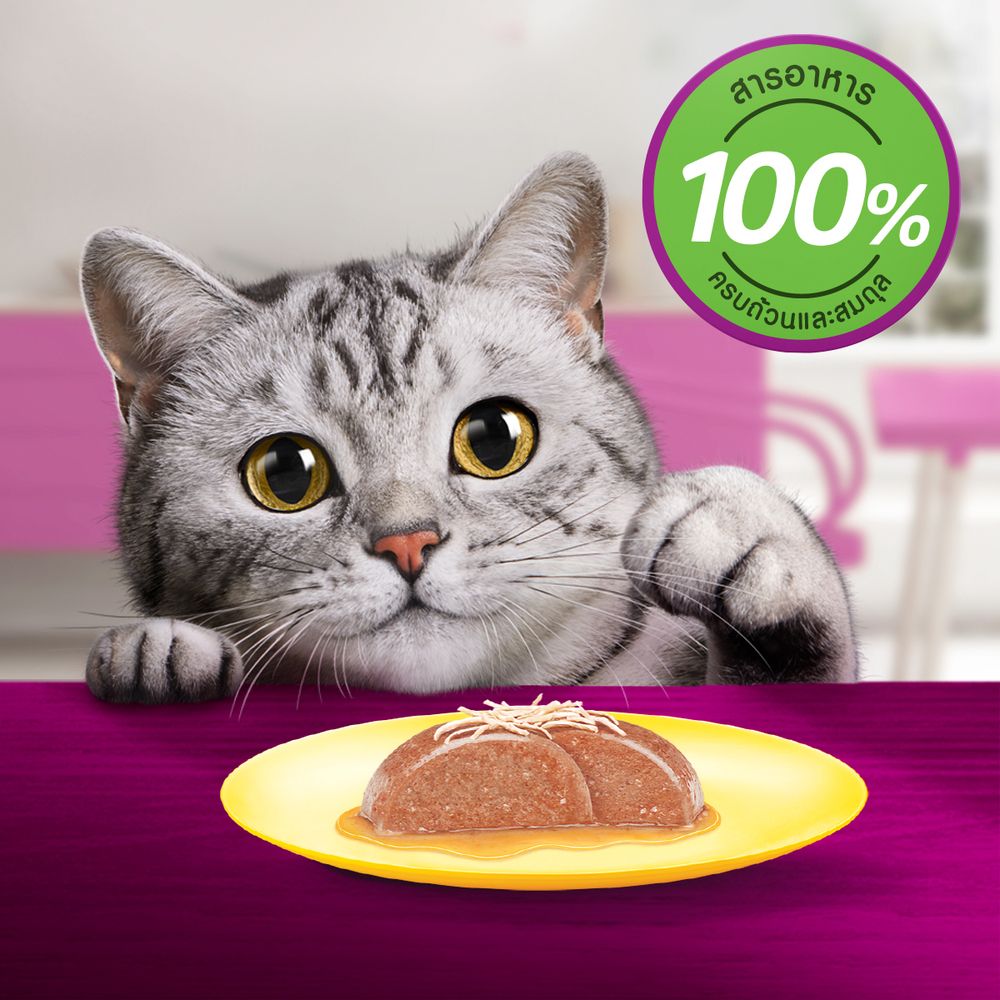 WHISKAS POUCH TUNA AND CHICKEN MEAT 80G