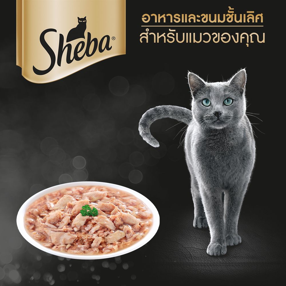 SHEBA POUCH TUNA 70G