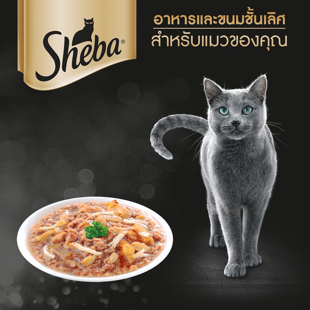 SHEBA POUCH TUNA AND CHICKEN AND BONITOFLAKE70G