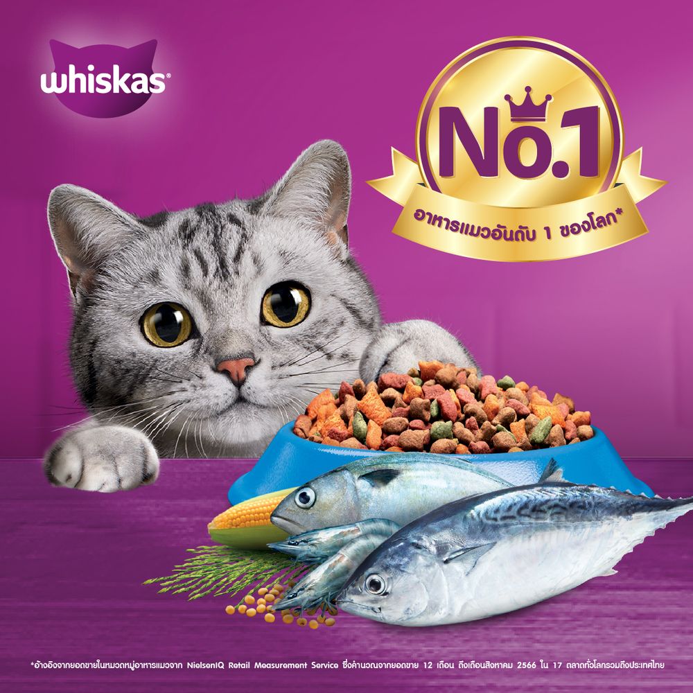 วิสกัส พ็อกเก็ตส์ ชนิดเม็ด รสปลาทะเล 7