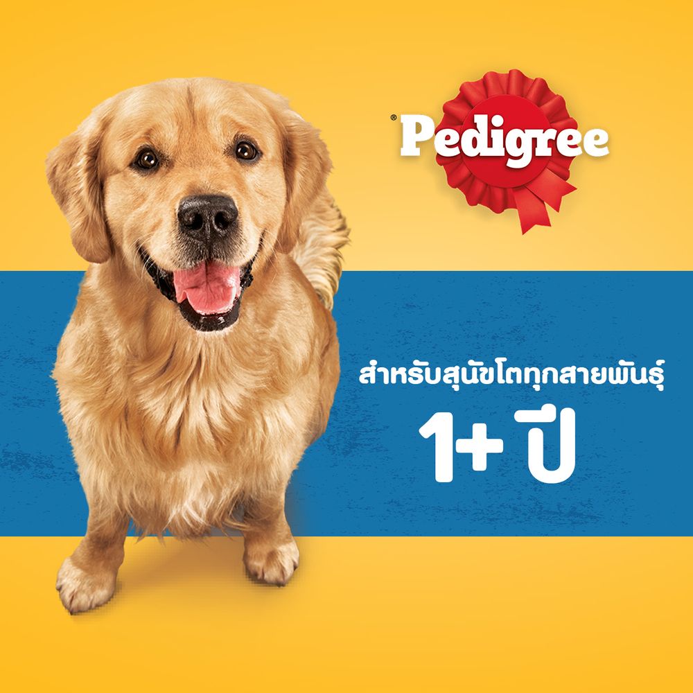 เพดดิกรี รสไก่และตับย่าง 20กก.