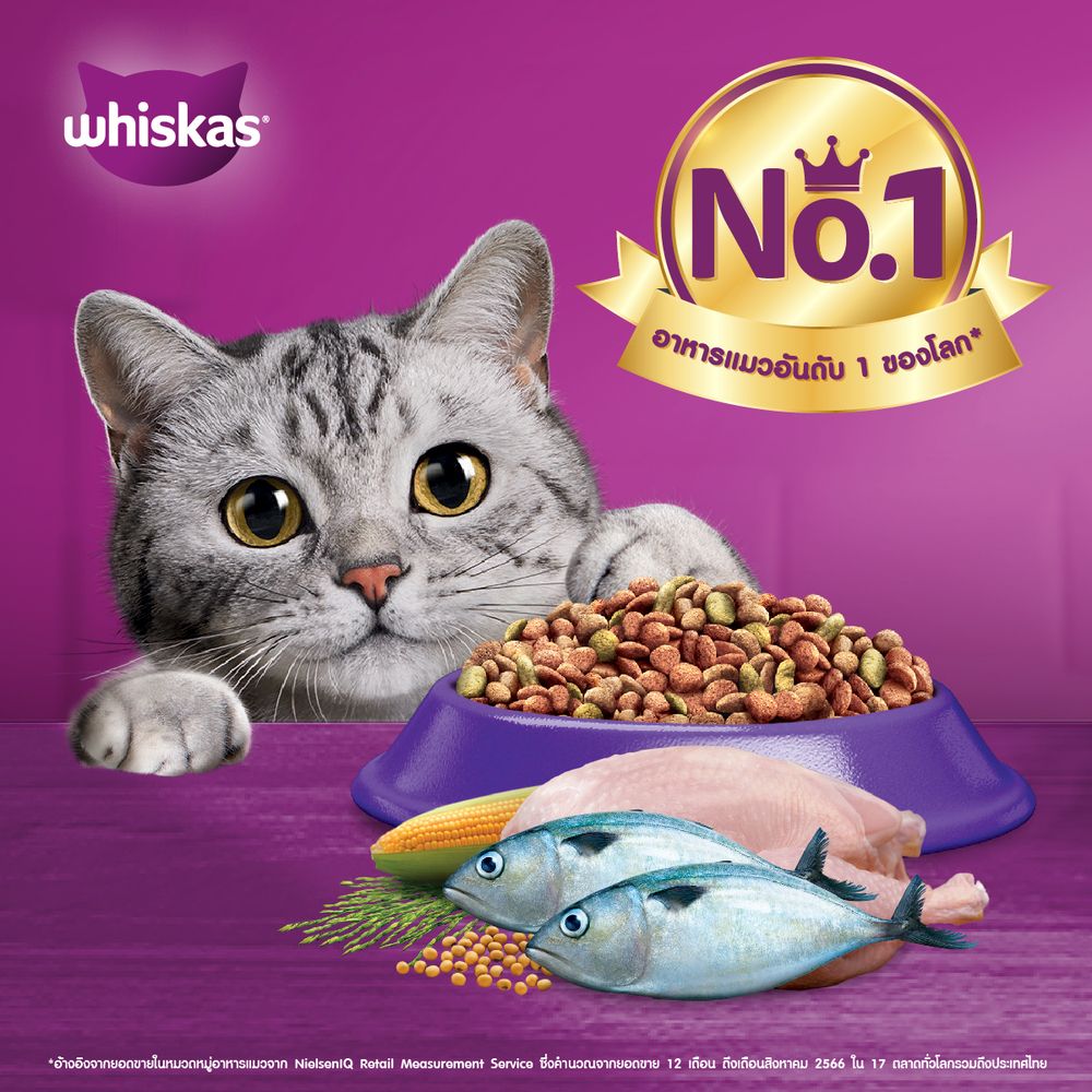 วิสกัส ซีเนียร์ อาหารแมว รสปลาทู 1.1 กก.
