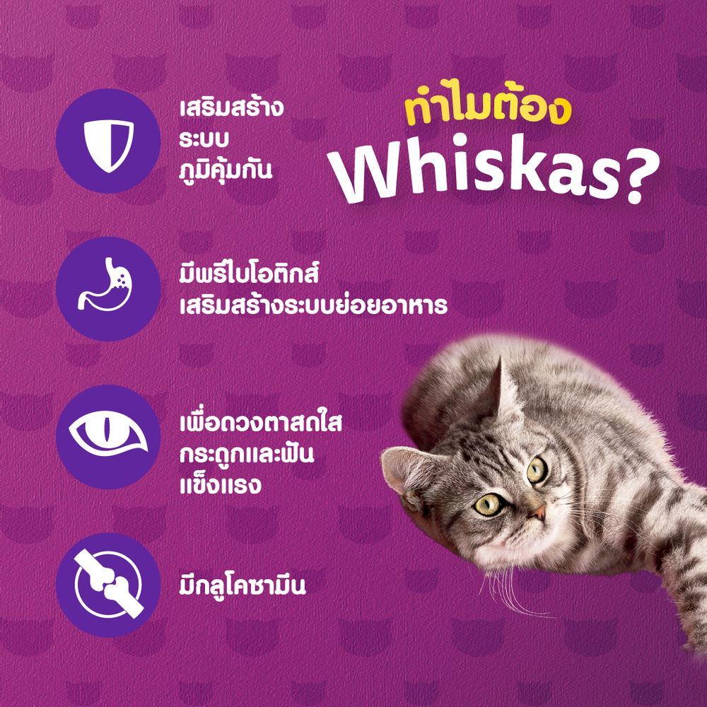 วิสกัส ซีเนียร์ อาหารแมว รสปลาทู 1.1 กก.