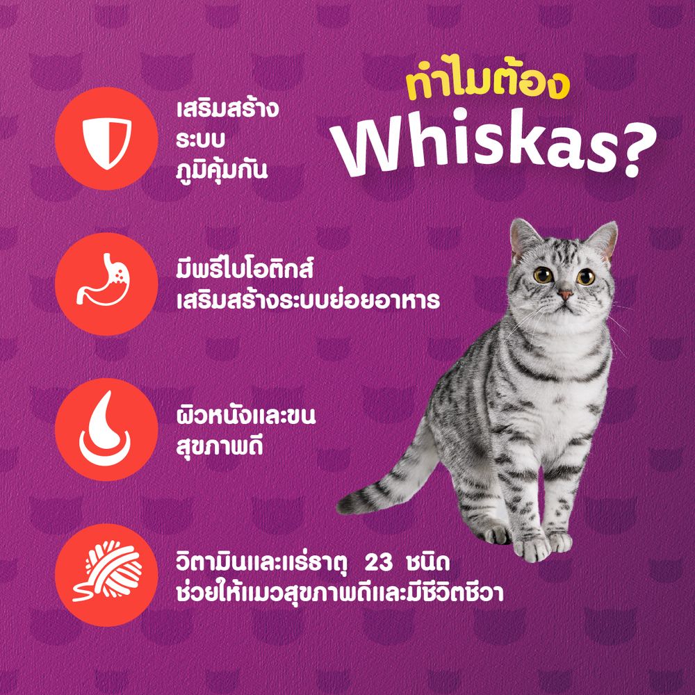 วิสกัสพ็อกเกตอาหารแมว โกเม่ซีฟู้ด 3 กก.