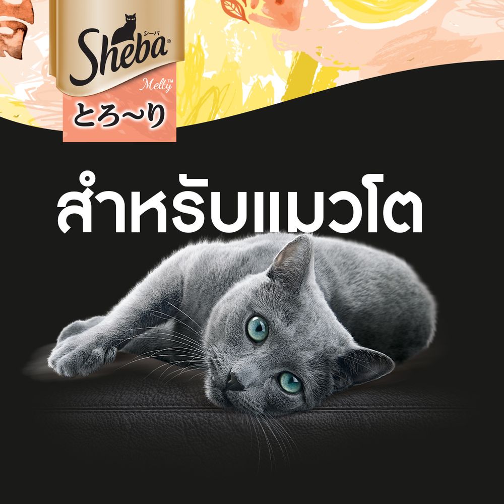 ชีบา เมลตี้ รสไก่และไก่ปลาเนื้อขาว 12ก.