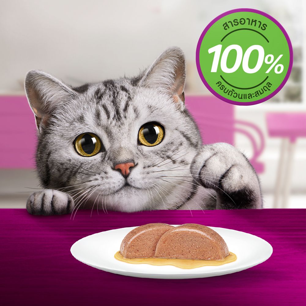 WHISKAS POUCH SENIOR WITH MACKEREL 80G