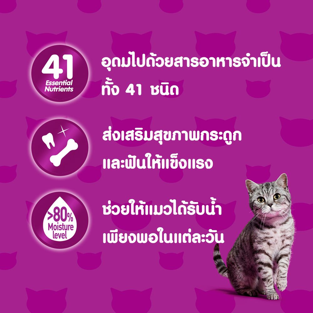 WHISKAS POUCH SENIOR WITH MACKEREL 80G