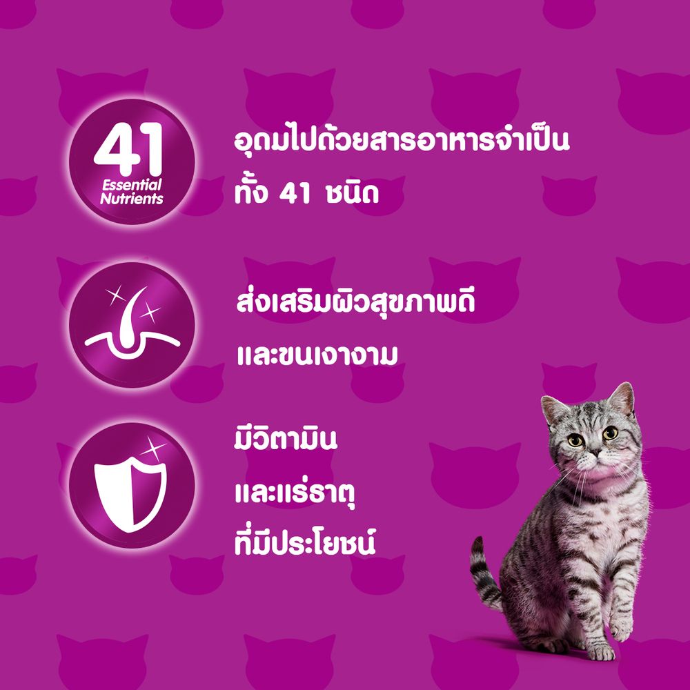 วิสกัส อาหารแมว เปียก แมวโต รสปลาทูและแซลมอน 80ก