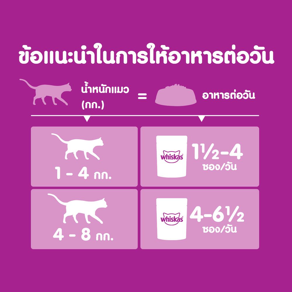 วิสกัส อาหารแมว เปียก แมวโต รสปลาทูและแซลมอน 80ก