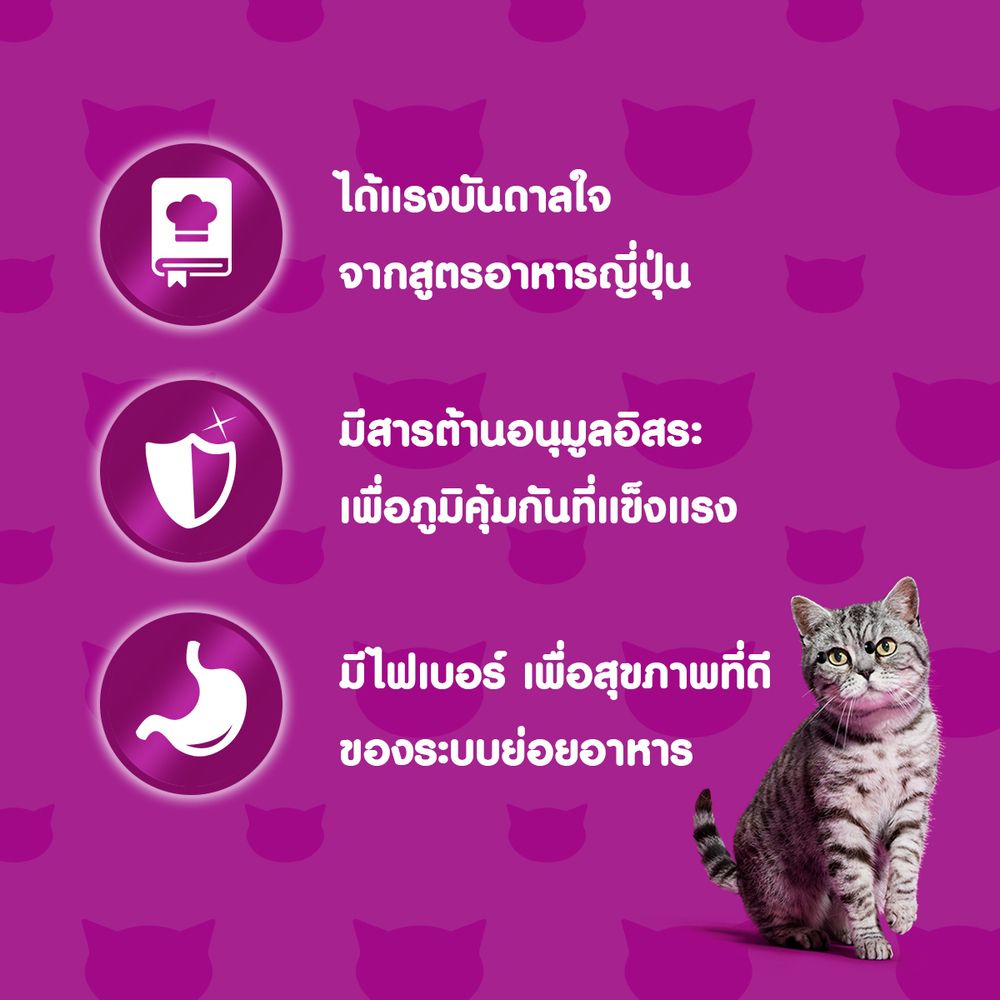 วิสกัสเทสตี้ ทูน่าปลาโอฟักทองเจลลี่ 70 กรัม