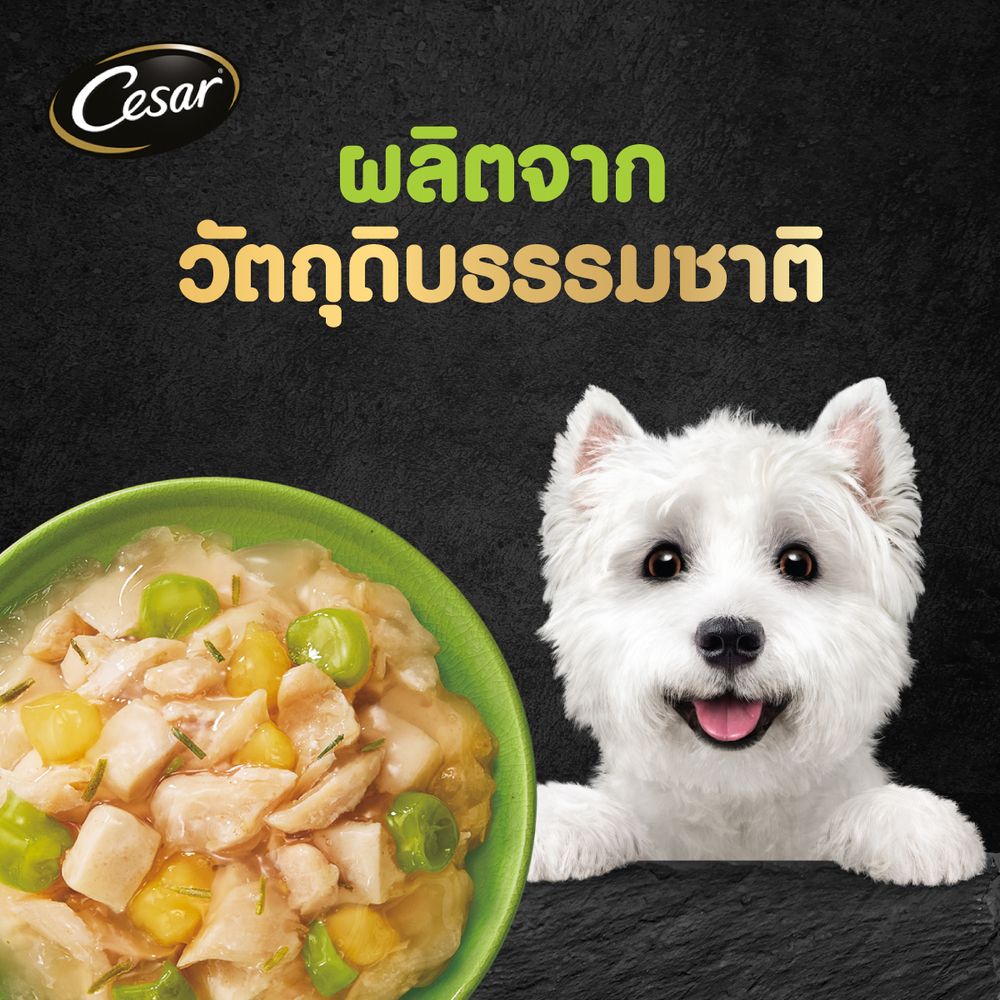 CESAR CRAFT CHICKEN SPOT+GREENBEAN 60 G.