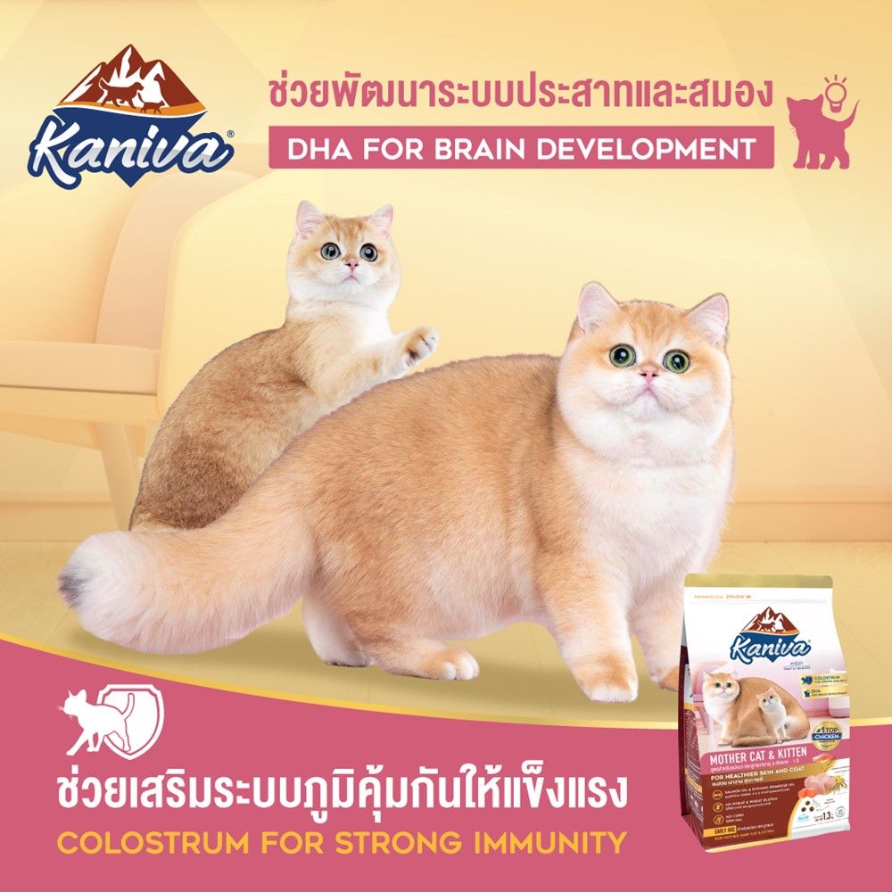 คานิว่า อาหารแมวสูตรแม่แมว + ลูกแมว 1.3 กิโลกรัม