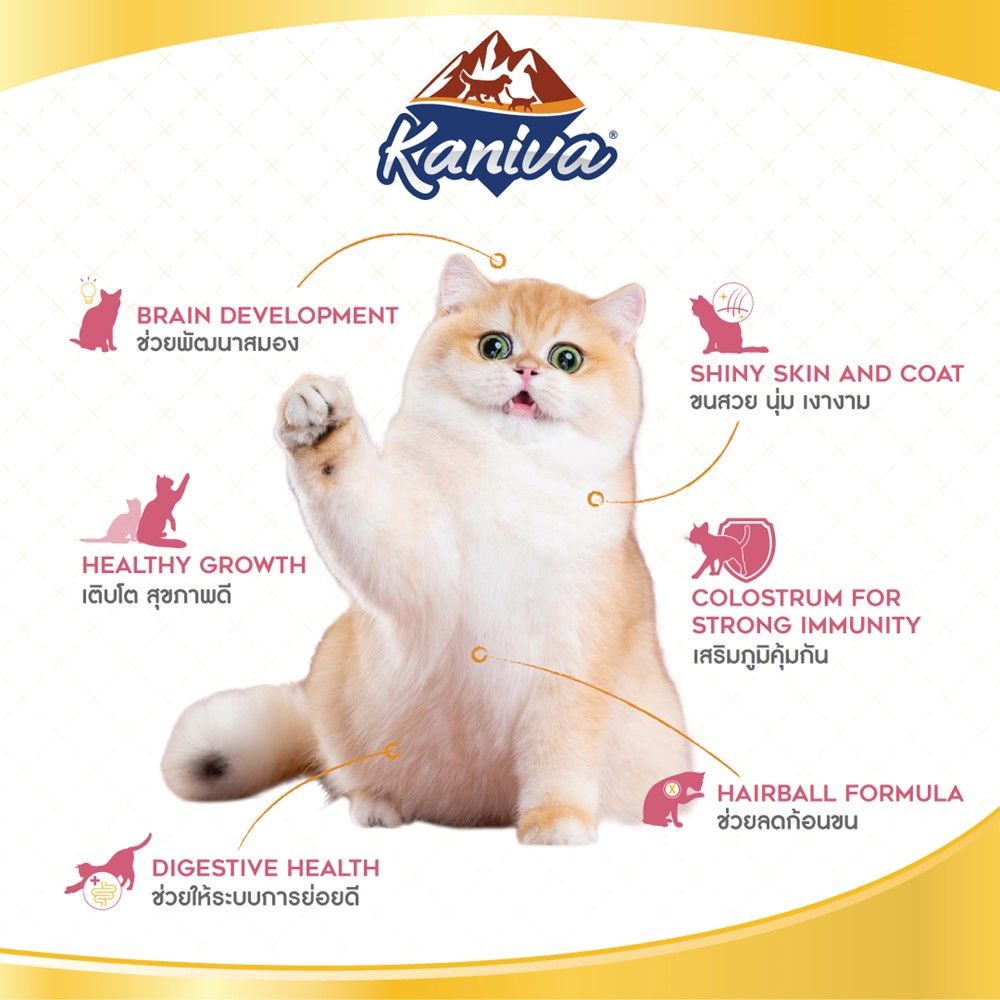 คานิว่า อาหารแมวสูตรแม่แมว + ลูกแมว 1.3 กิโลกรัม