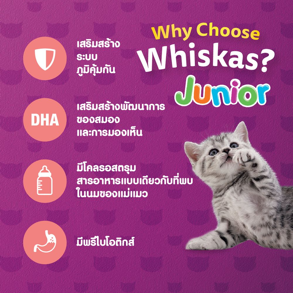 WHISKAS JUNIOR TUNA+SALMON 1.1 KG.