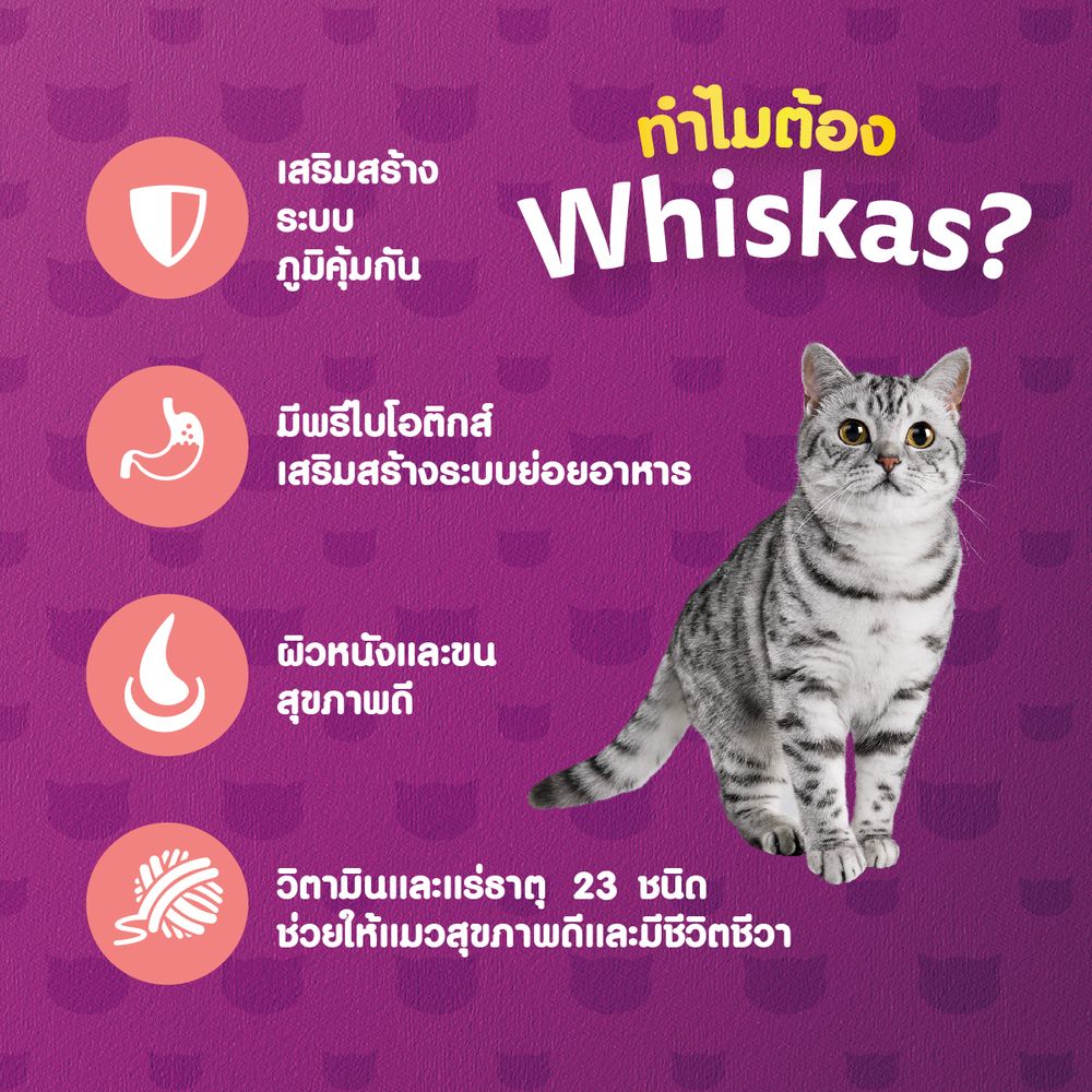 วิสกัสแมวโตรสทูน่าและแซลมอน 3 กก.