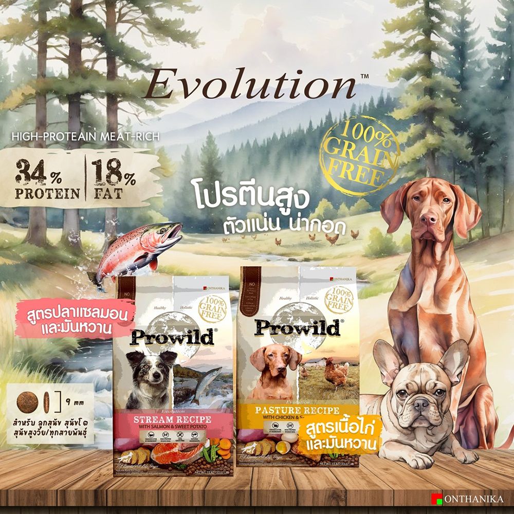 โปรไวลด์ อาหารสุนัขแพสเจอร์ 3 กก.