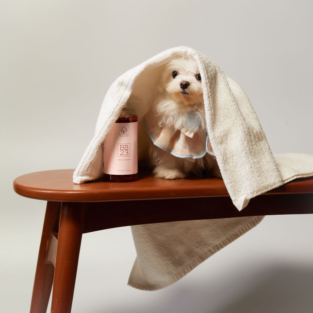 บับเบิ้ลแบร์ แชมพู บีบี23 500 มล.