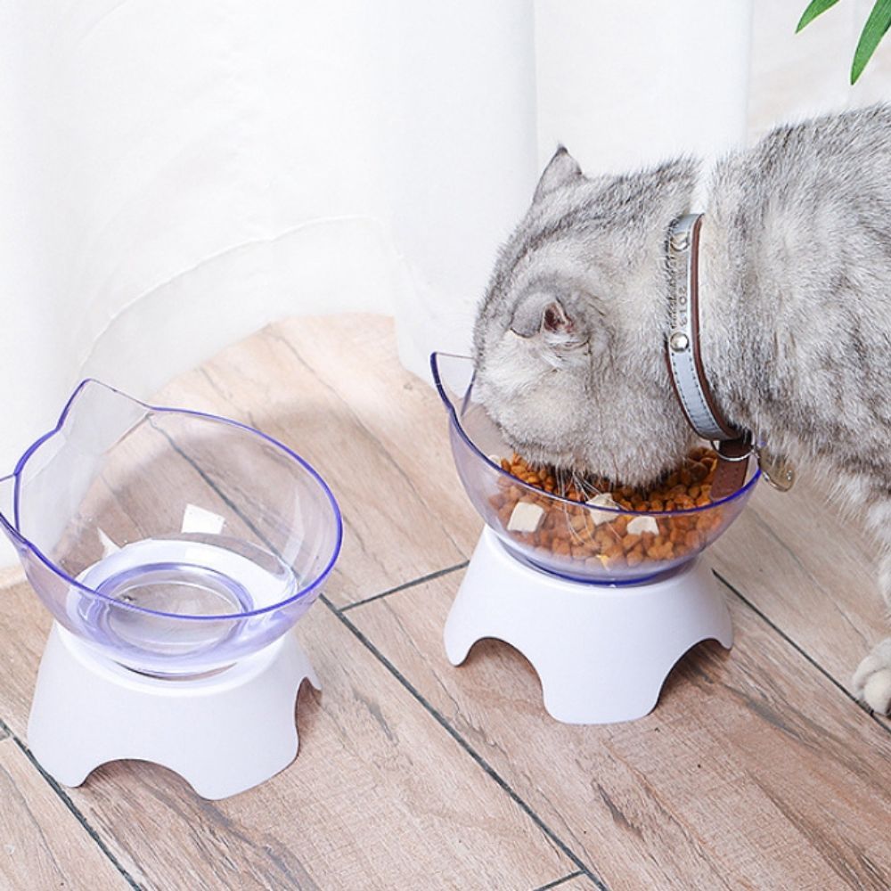 ซีซีเพ็ท ชามเอียงใสหน้าแมว ZX001