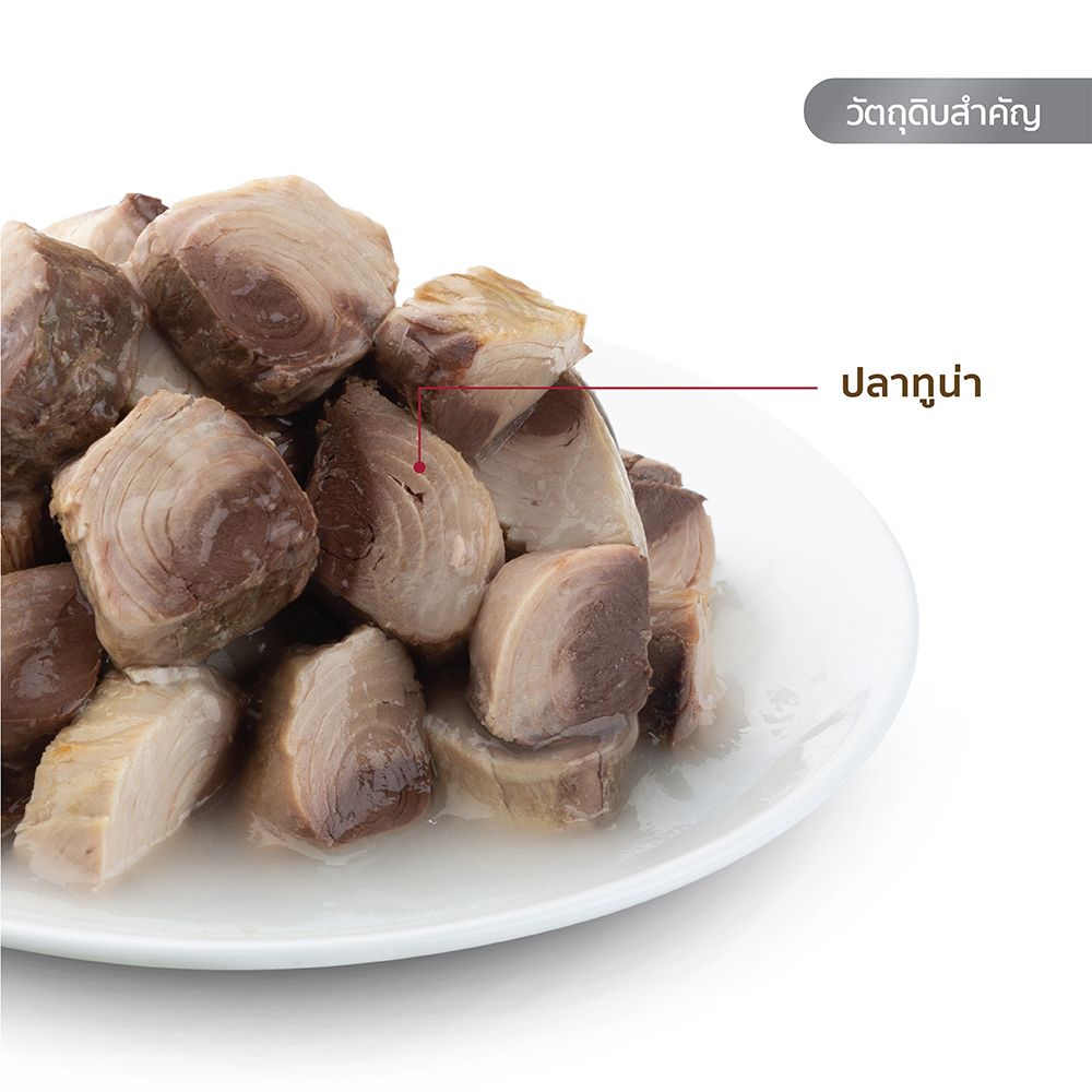 FELINA คานิโน ซิงเกิ้ล อาหารเปียกแมว โปรตีนทูน่า 70 กรัม