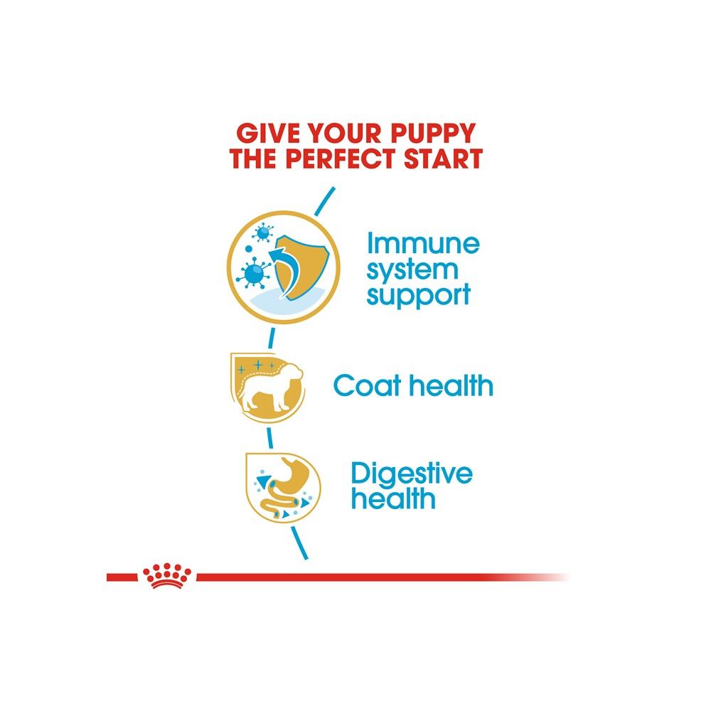 ROYAL CANIN POODLE PUPPY 0.5 KG