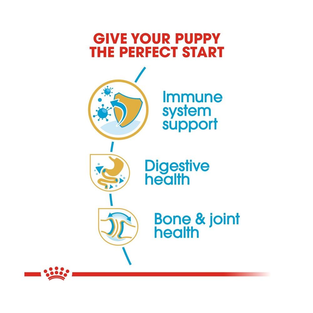 ROYAL CANIN BULLDOG PUPPY 12 KG