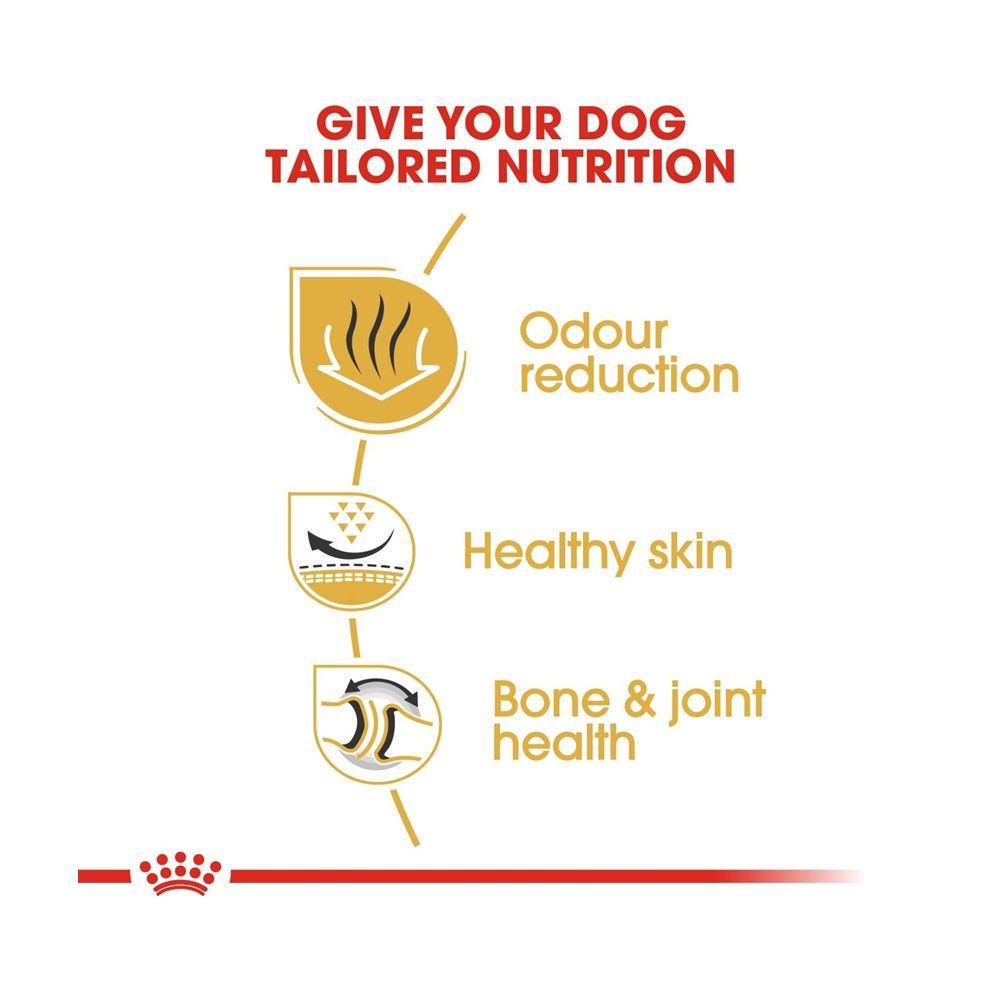 ROYAL CANIN BULLDOG ADULT 12 KG