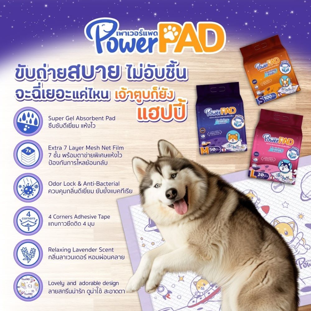 เพาเวอร์แพด แผ่นรองซับ L 20 ชิ้น