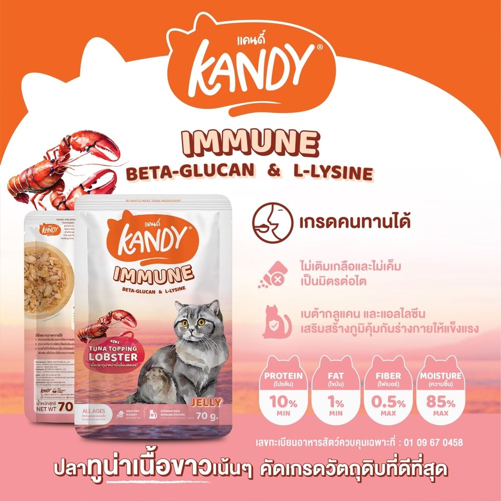 KANDY CAT WET FOOD TUNA AND LOBSTER IN JELLY 70 G
