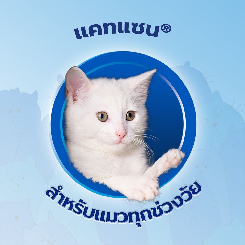 CATSAN CLUMPING CAT LITTER 5 LITRES | Lotus’s Shop Online