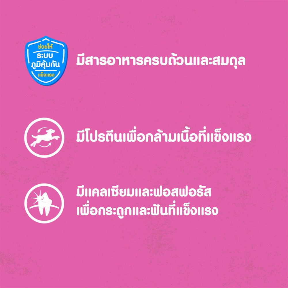 PEDIGREE PUPPY WET CHICKEN IN GRAVY 130G