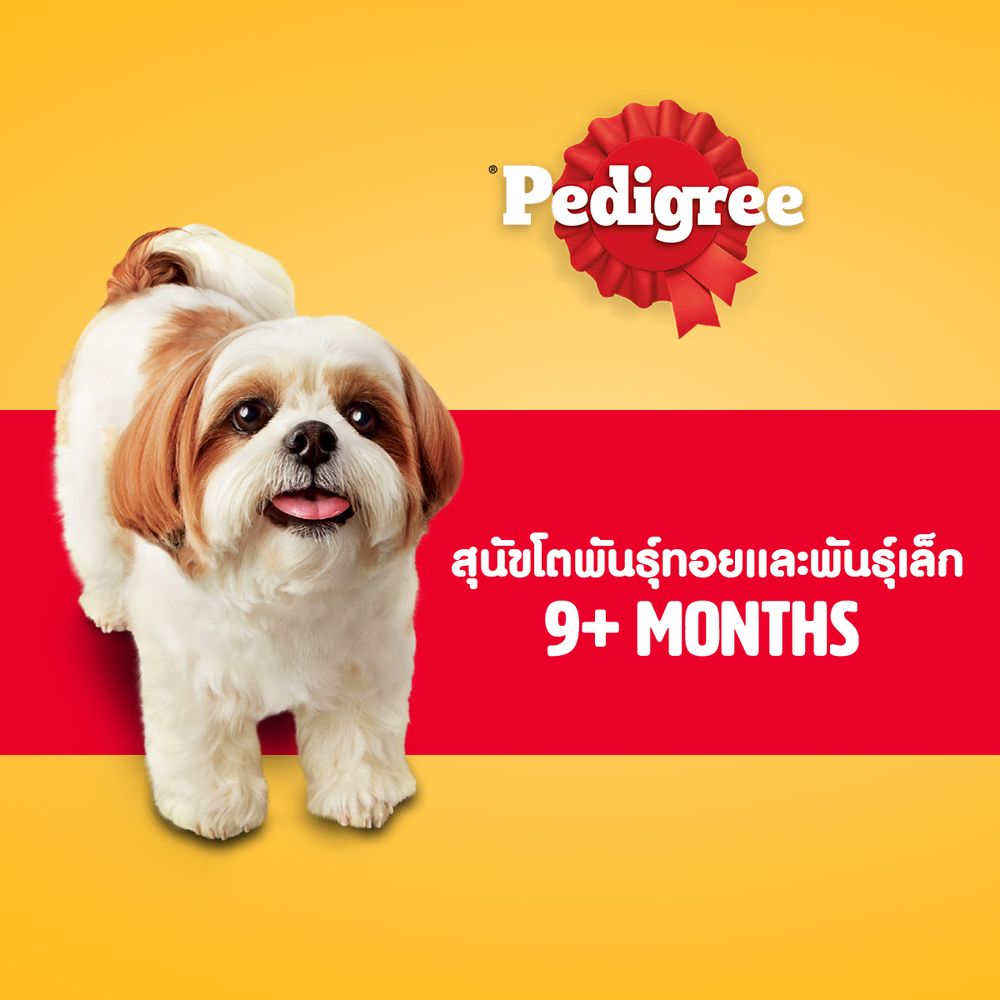 เพดดิกรีมินิสุนัขเล็กเนื้อวัวแกะผัก1.3กก