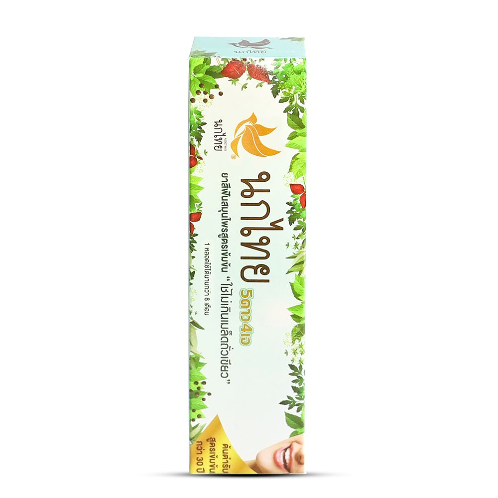 NOKTHAI 5STAR 4A HERBAL TOOTHPASTE 100 G