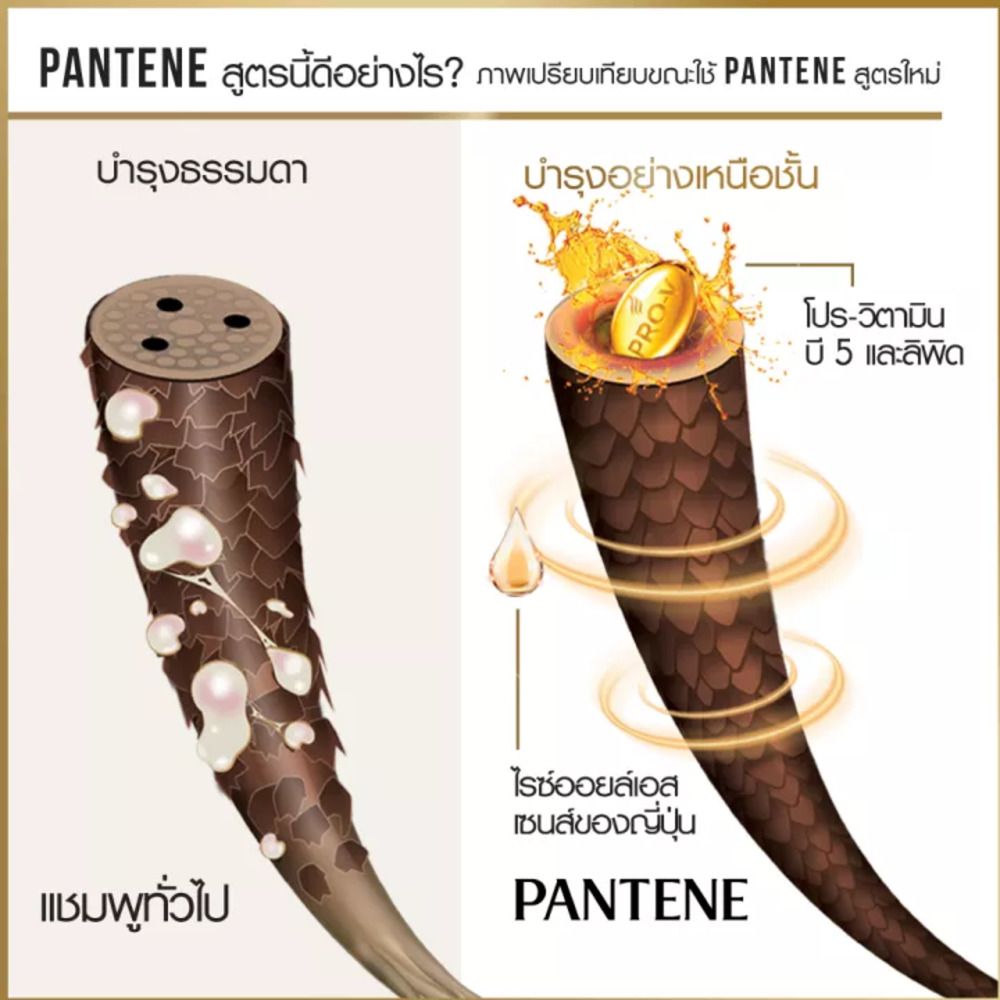 PANTENE SHAMPOO COLOR AND PERM 380 ML.