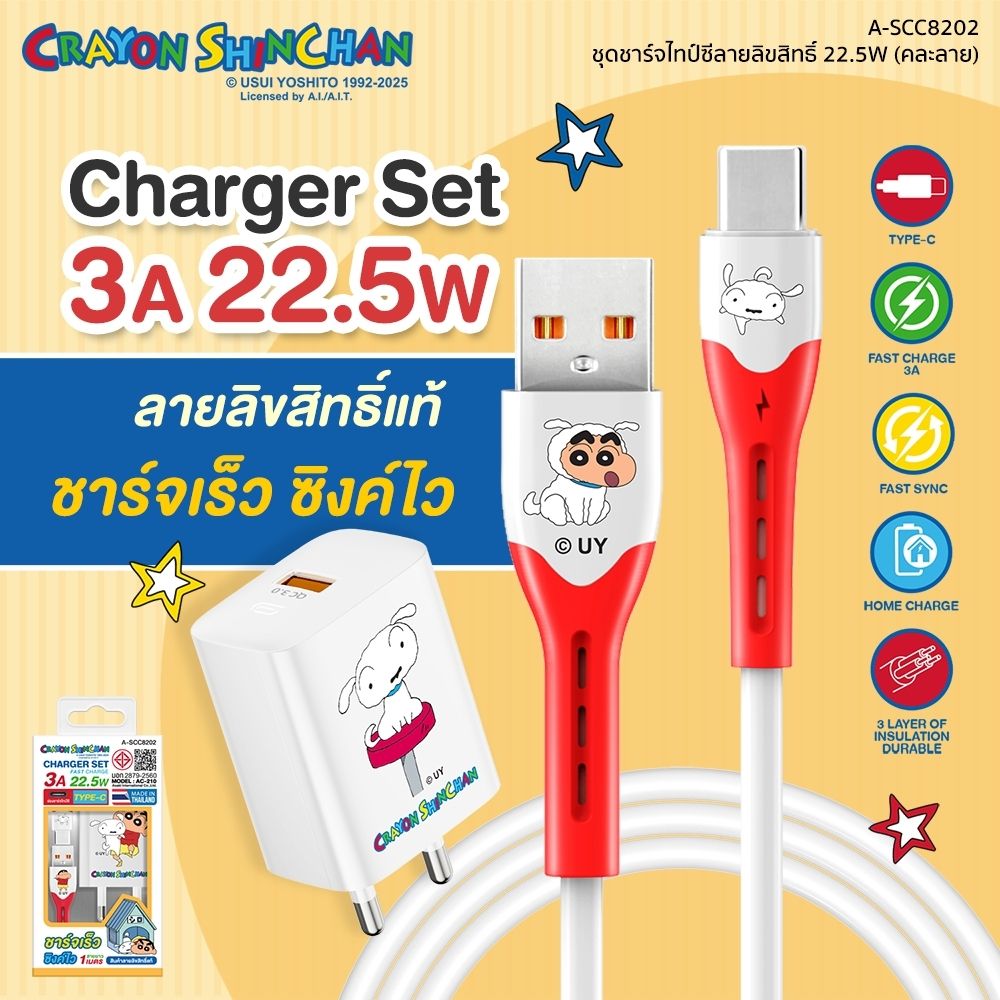 ASAKI CHARGER SET TYPE-C A-SCC8202 (ASSORTED)