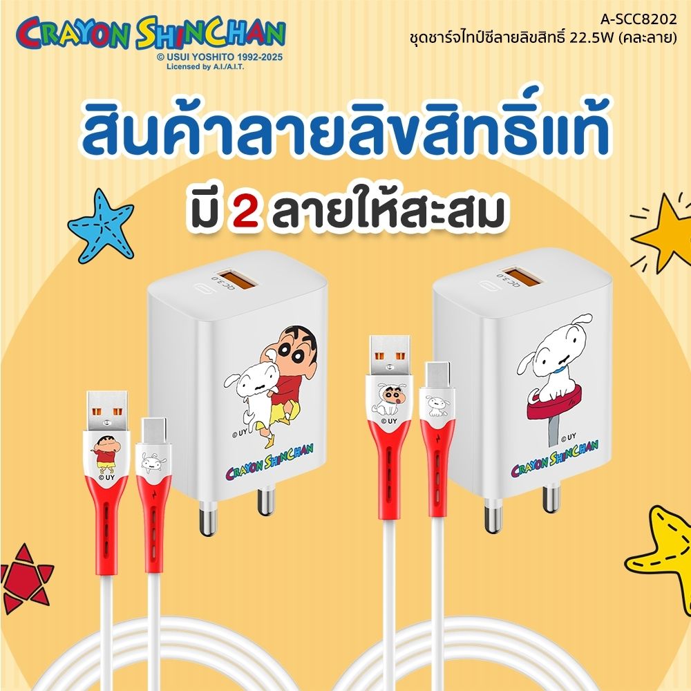 ASAKI CHARGER SET TYPE-C A-SCC8202 (ASSORTED)