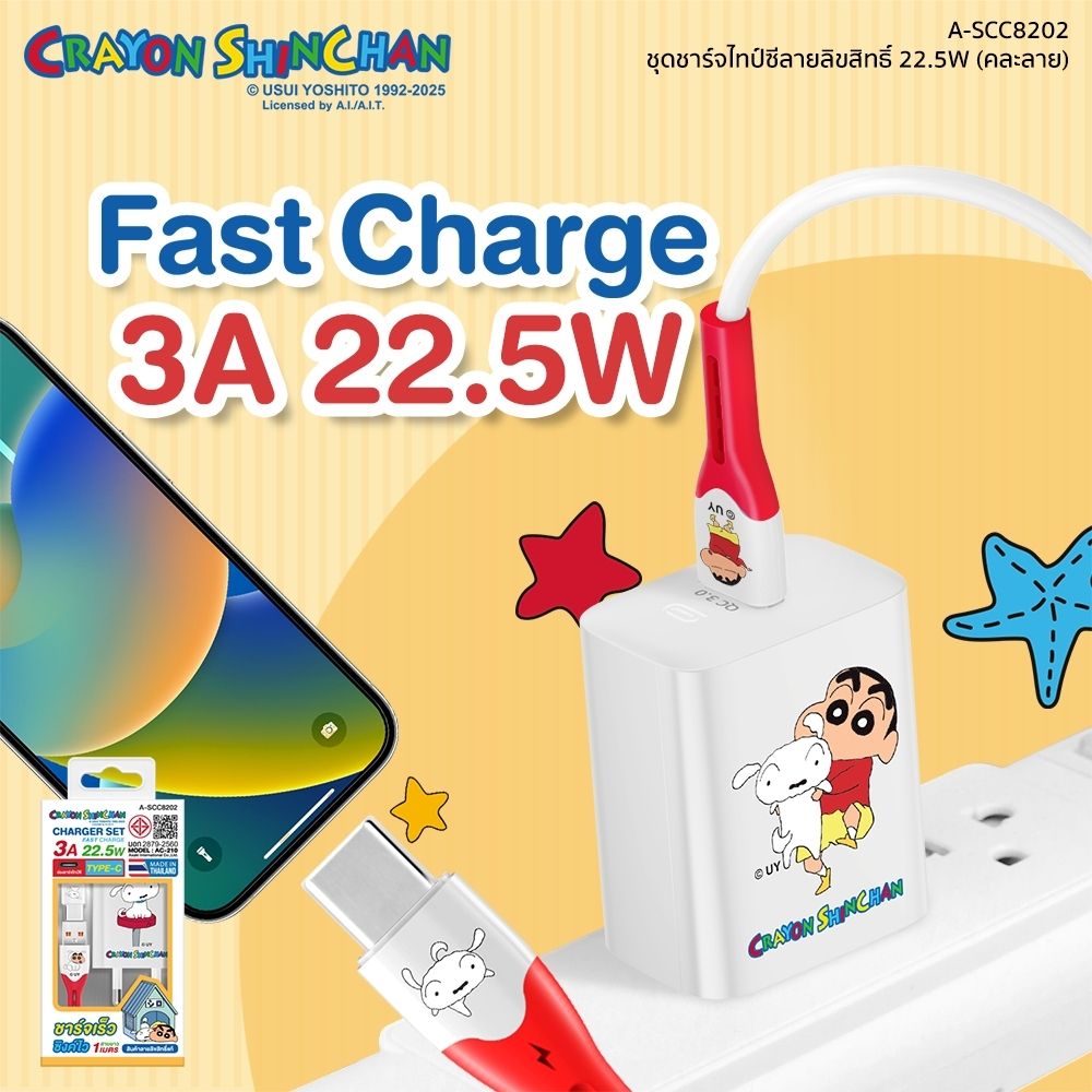 ASAKI CHARGER SET TYPE-C A-SCC8202 (ASSORTED)