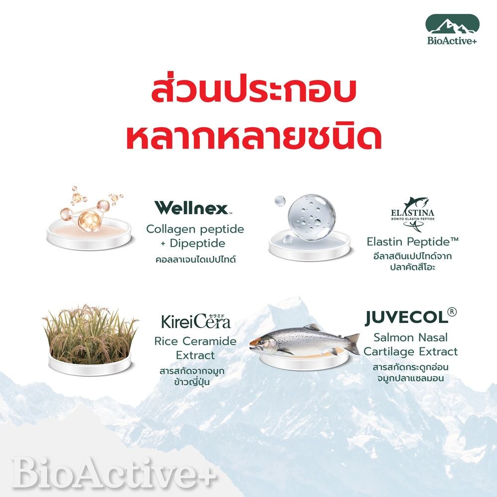 ไบโอแอคทีฟพลัส คอลลาเจน 10 หลอด