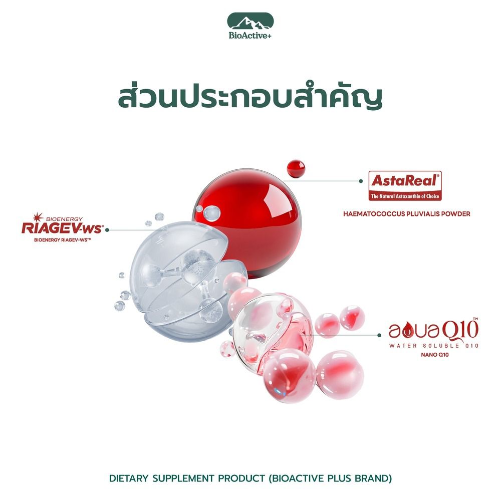 ไบโอแอคทีฟพลัส แอสต้า 10 หลอด